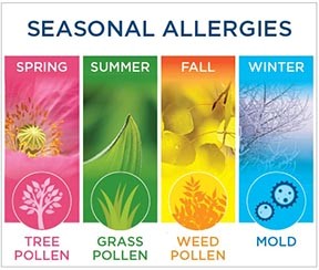 Seasonal Allergy Seasons