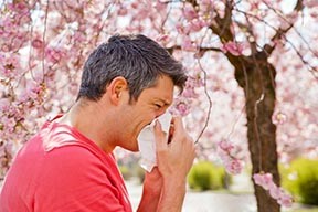 Seasonal Allergy Symptoms and Causes