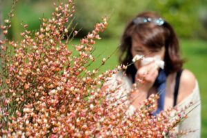 Seasonal Allergy Treatment Options