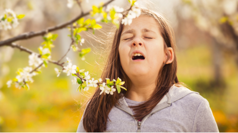 Spring Allergies Causing Sneezing