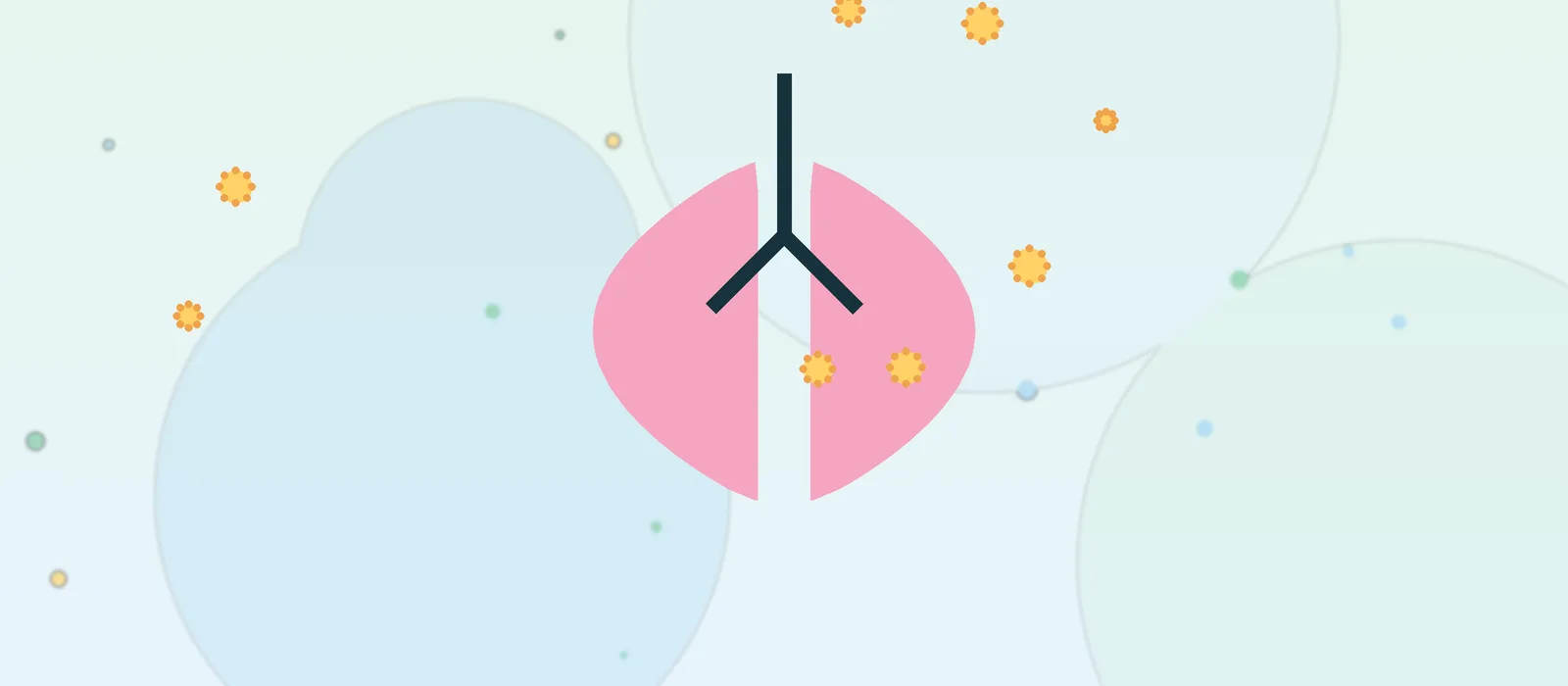 Flat illustration of lungs representing asthma