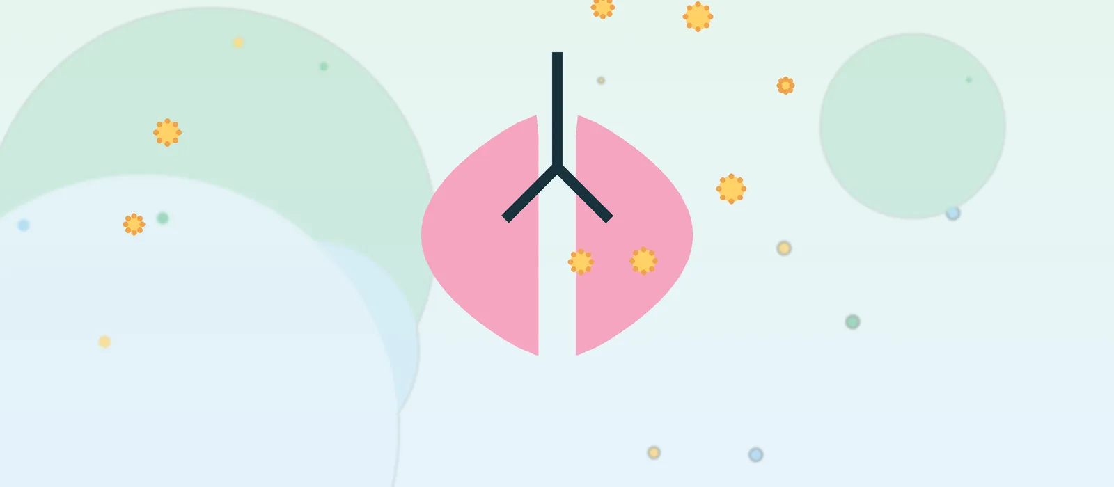Flat illustration of lungs with airways