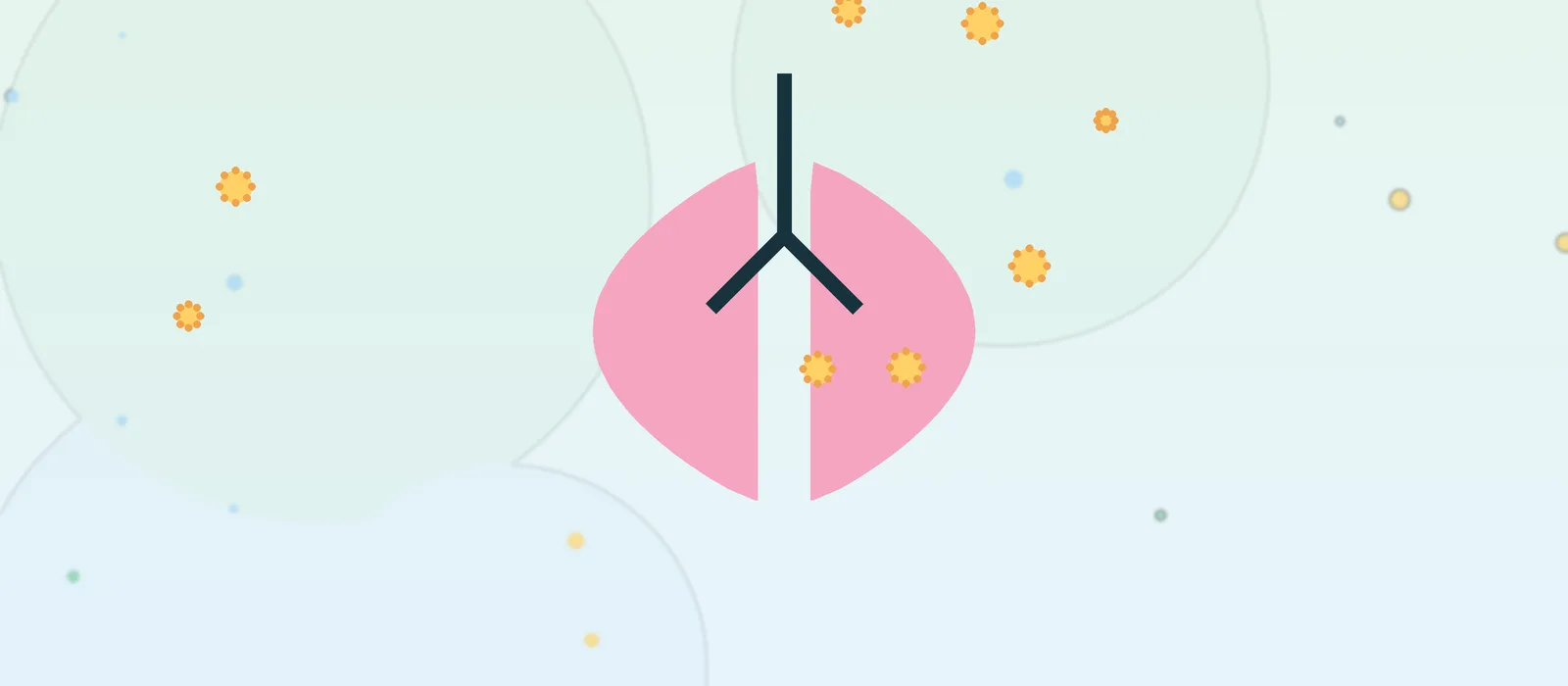 Flat illustration of lungs and airways